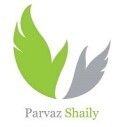 پرواز شایلی